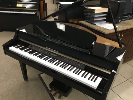 CLP295GP